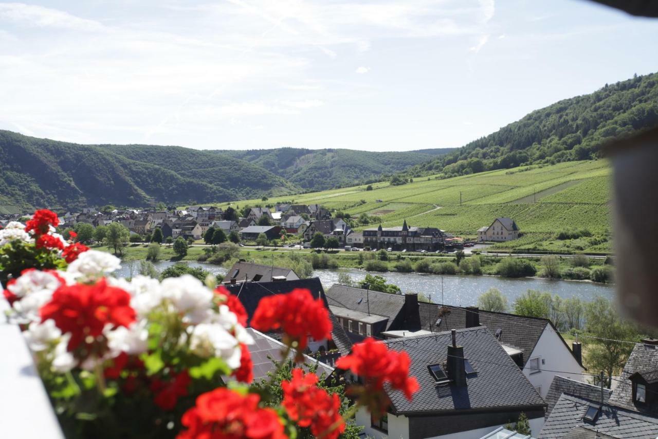 Ferienwohnung Moselblick-Stein Valwig Bagian luar foto